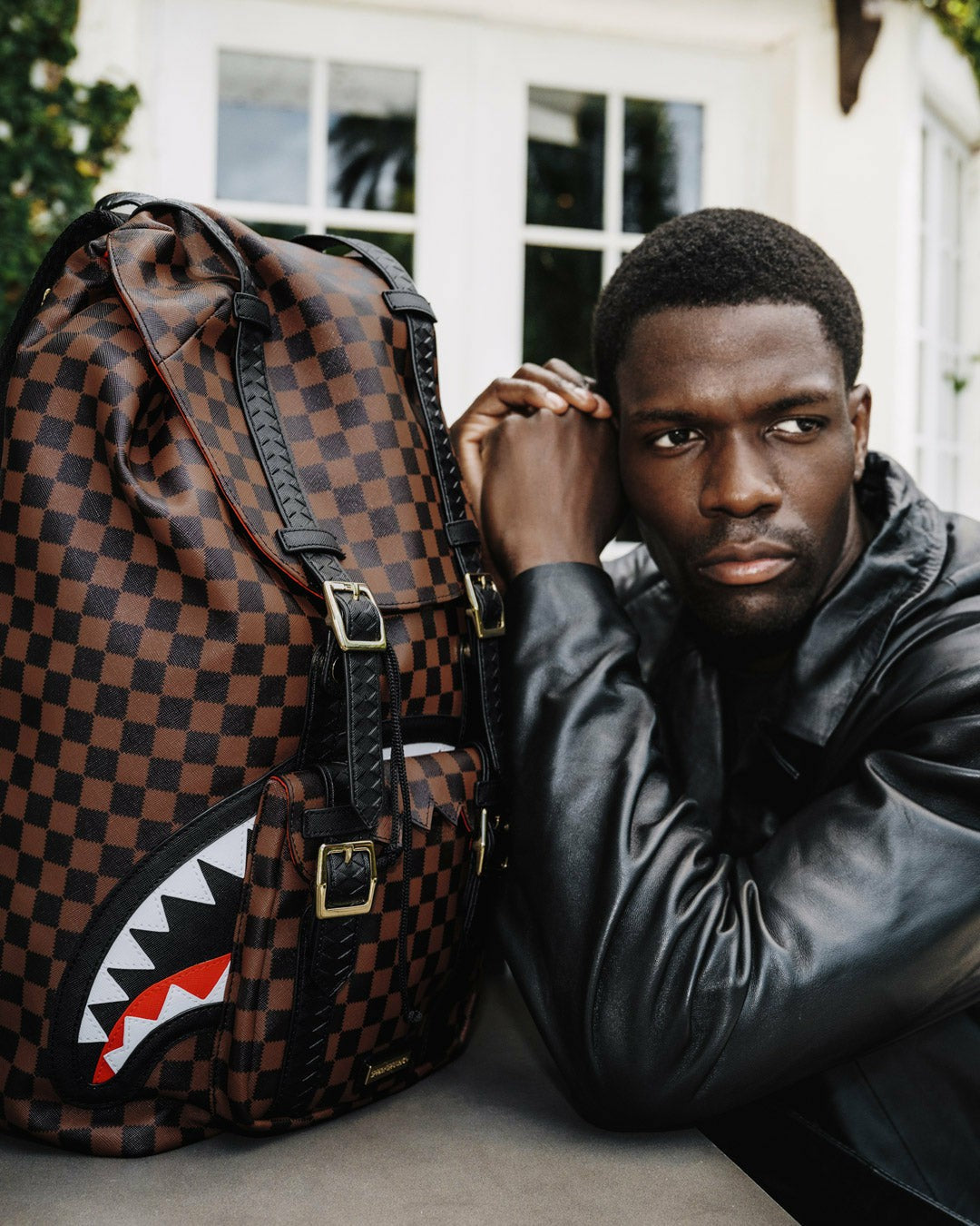 SAWTOOTH SHARKS IN PARIS HILLS BACKPACK
