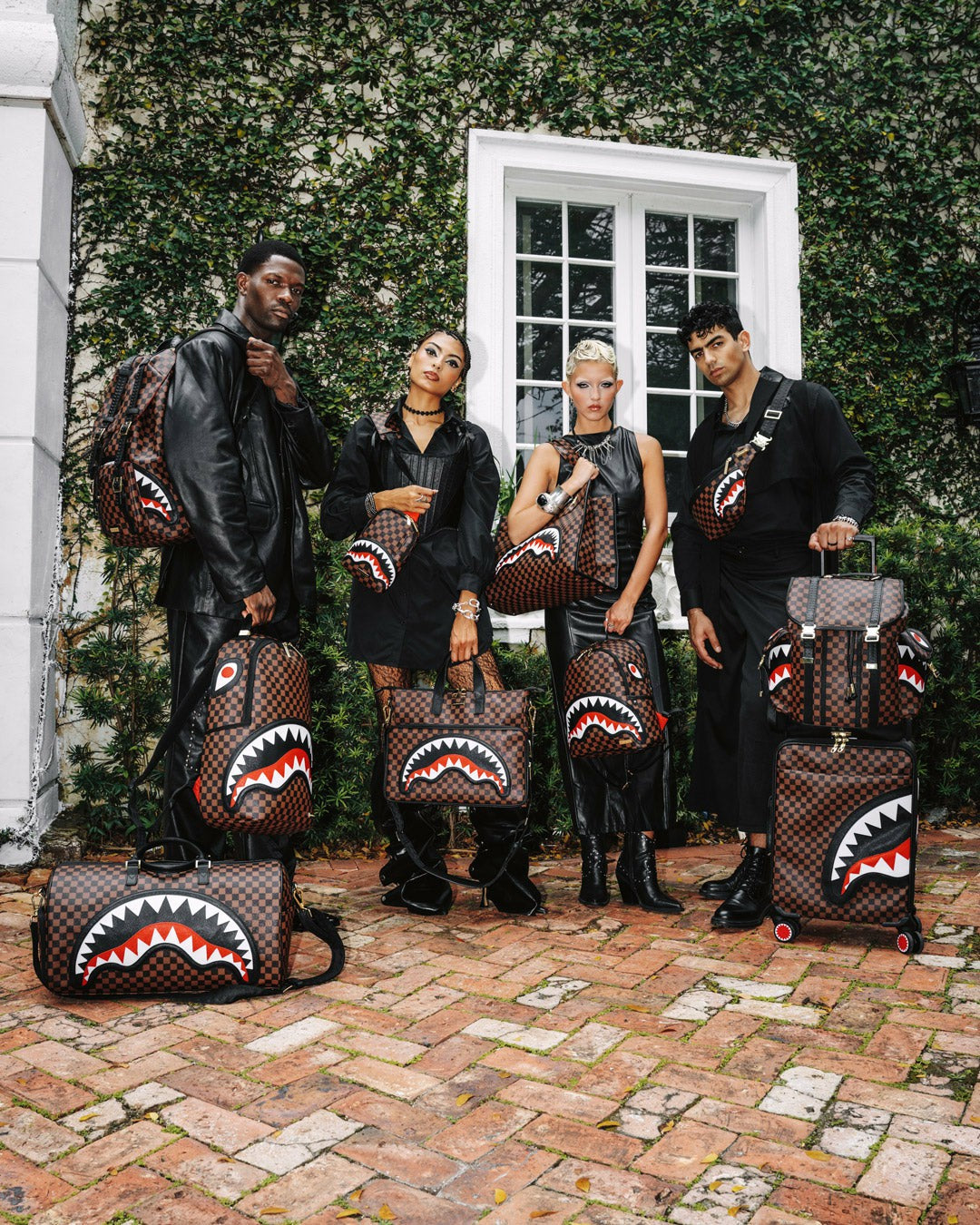 SAWTOOTH SHARKS IN PARIS CARRY-ON LUGGAGE
