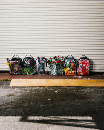 CLEAR BACKPACK - MONEY CHOMP